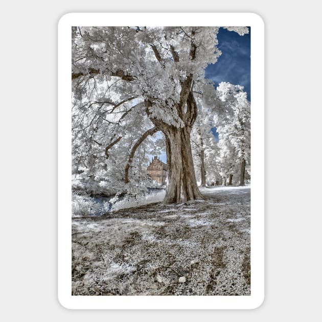 Infrared Creek Sticker by BonniePhantasm